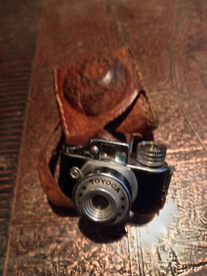 lilliput camera