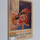 Artturi Salokannel : Sami niedai ja kandai teärvasvuodaoappa - pikkukuva 1