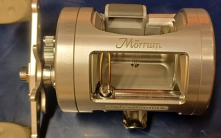 Abu Ambassadeur Mörrum 6600 CL