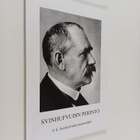 Jyrki Vesikansa : Svinhufvudin perintö : P. E. Svinhufvud... - pikkukuva 1