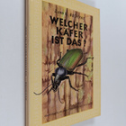 Jan Bechyne : Welcher Käfer ist das? - pikkukuva 1