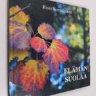 Risto Kormilainen : Elämän suolaa - pikkukuva 1