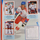 Jääkiekko keräilysarja 1993 täysi albumi 288 tarraa - pikkukuva 3