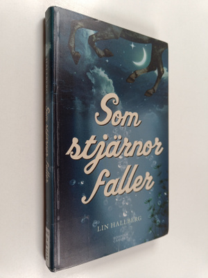 Lin Hallberg : Som stjärnor faller