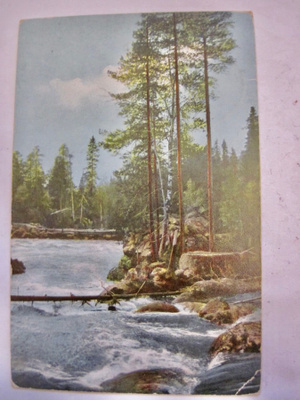 VANHA Postikortti Ilomantsi 1913