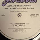 Leevi And The Leavings:Jos Taivaalta ..12" - pikkukuva 3