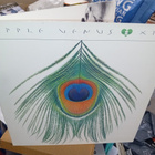 LP XTC : Apple Venus ( SIS POSTIKULU ) - pikkukuva 1