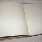 Edgar Rice Burroughs Marsin prinsessa - pikkukuva 4