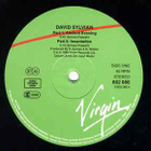 DAVID SYLVIAN - Words with the Shaman v.1985 - pikkukuva 3