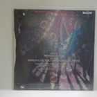 THE BLACK CROWS - REMEDY M-/EX+ 7" - pikkukuva 2