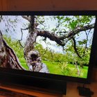 HD digiboksi antenni- ja kaapeliverkkoon (DVB-T2, DVB-C HD) - pikkukuva 3