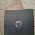 Whitesnake 1987 LP-levy - pikkukuva 4