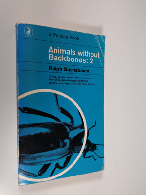 Ralph Buchsbaum : Animals without Backbones 2
