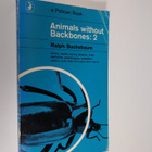 Ralph Buchsbaum : Animals without Backbones 2 - pikkukuva 1