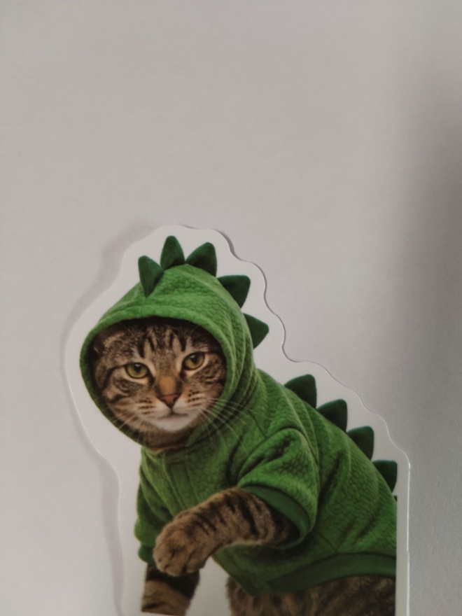 Kissa tarra.