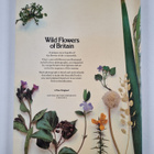 Roger Phillips : Wild flowers of Britain - pikkukuva 2