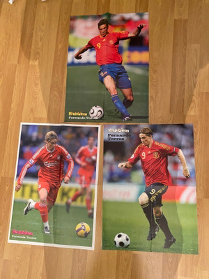 Fernando Torres julisteet