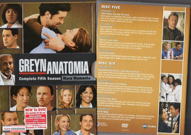 GREYN ANATOMIA KAUSI 5	(11 860)	-FI-	DVD	(7)		16h 35min