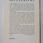 Leo Tolstoi : Sota ja rauha 4 - pikkukuva 2