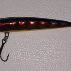 HK varma vaappu 10cm - pikkukuva 2