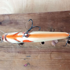 Salmo sinking 7cm - pikkukuva 4