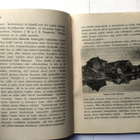 M.A. Castrén Tallgren A.M. Kansanvalistusseuran elämäkertoja - pikkukuva 3