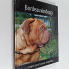 Bordeauxindoggi - pikkukuva 1
