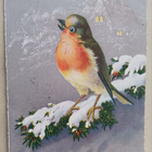 Punarinta kuusen oksalla, Uusi Vuosi, p. 1927 -> Suomeen - pikkukuva 1