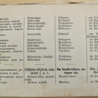 VANHA Sanakirja Lausekirja Suomi Venäjä Ruotsi Saksa 1874 - pikkukuva 3