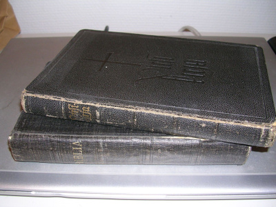Biblia ja virsikirja