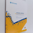 Lifelong learning for the new decade - pikkukuva 1