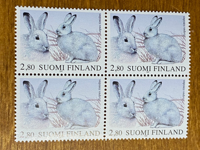 METSÄJÄNIS NELIÖ**
