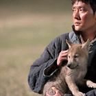 Viimeinen susi - Ohjaus: Jean-Jacques Annaud - pikkukuva 3