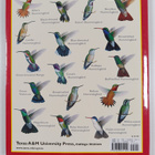 Clifford Eugene Shackelford ym. : Hummingbirds of Texas -... - pikkukuva 2