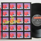 The Cherry Bombz Hot Girls In 12" OBI Japani (Hanoi Rocks) - pikkukuva 1