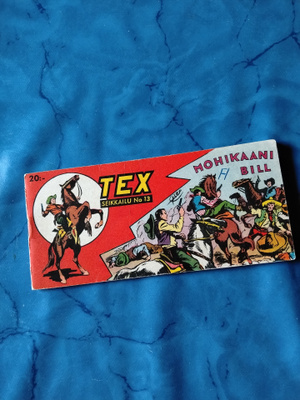 tex 1vsk 13