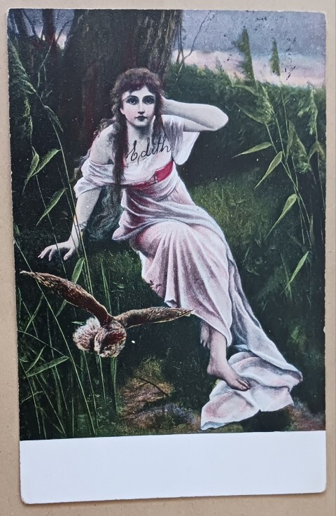 Leidi synkässä metsässä, pöllö pakenee, vanha väripk p. 1907
