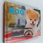 J.H. Lee : Boo : Little Dog in the Big City - pikkukuva 1