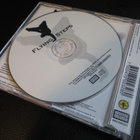 FLYING STEPS IN DA ARENA (SITUATION) / WE GONNA ROCK IT CDS - pikkukuva 2