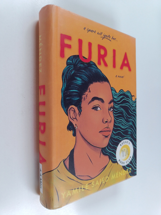 Yamile Saied Mendez : Furia : a novel