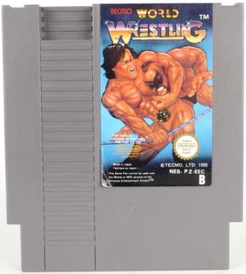 Tecmo World Wrestling