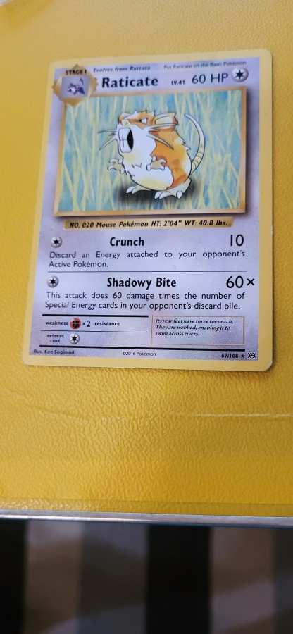 Raticate (EVO 67) XY Evolutions CCG RARE card