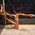 Uniikki akvaariojuurakko | T42 - pikkukuva 1