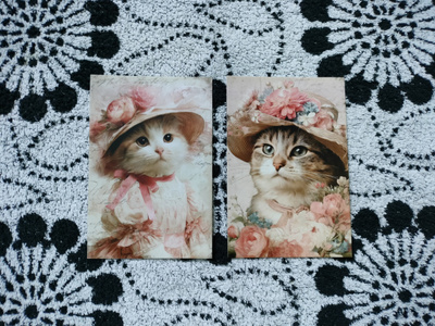 ~Kissa kortti~ 2kpl