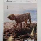 Koirat 5/2007 - pikkukuva 2