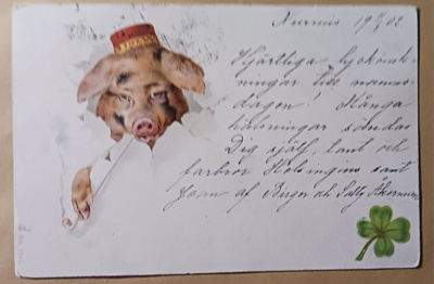 Possu fetsi päässä, piippu suussa, neliapila,Uusi Vuosi 1902