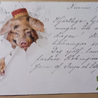 Possu fetsi päässä, piippu suussa, neliapila,Uusi Vuosi 1902 - pikkukuva 1