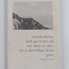 Anne-Elisabeth Steinmann : Karmelitorden : historia-helgo... - pikkukuva 2