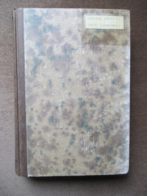 George Eliot: Mylly joen rannalla