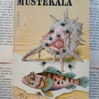 Ian Fleming - Mustekala; Hetken huumaus; Smaragdipallo (nid) - pikkukuva 1